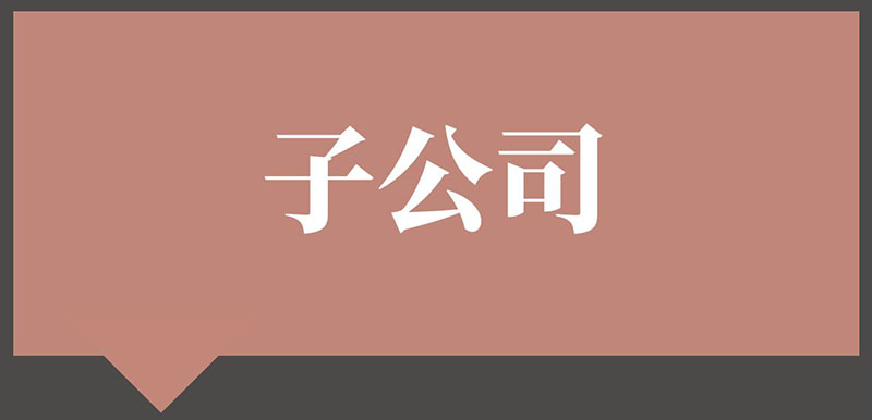 子公司