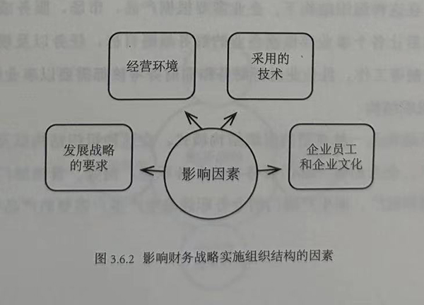 影响财务战略实施组织结构的因素