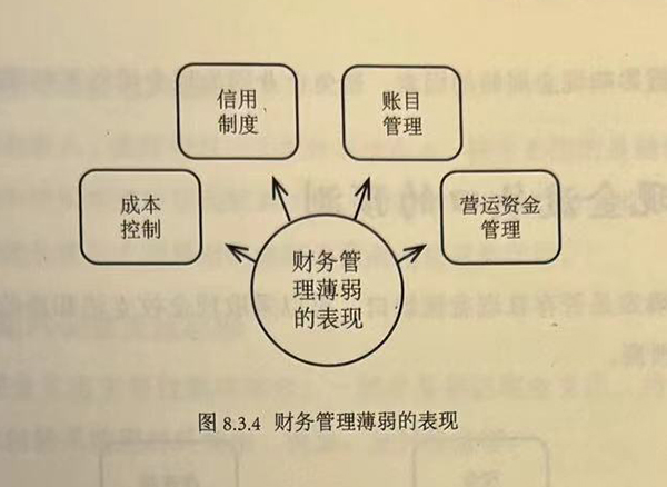 财务管理薄弱的表现