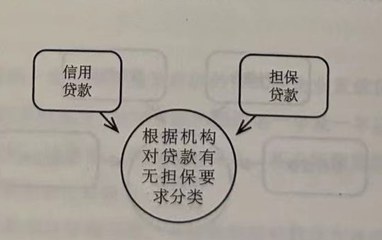 根据机构对贷款有无担保要求分类