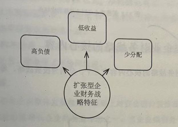 扩张型企业财务战略特征