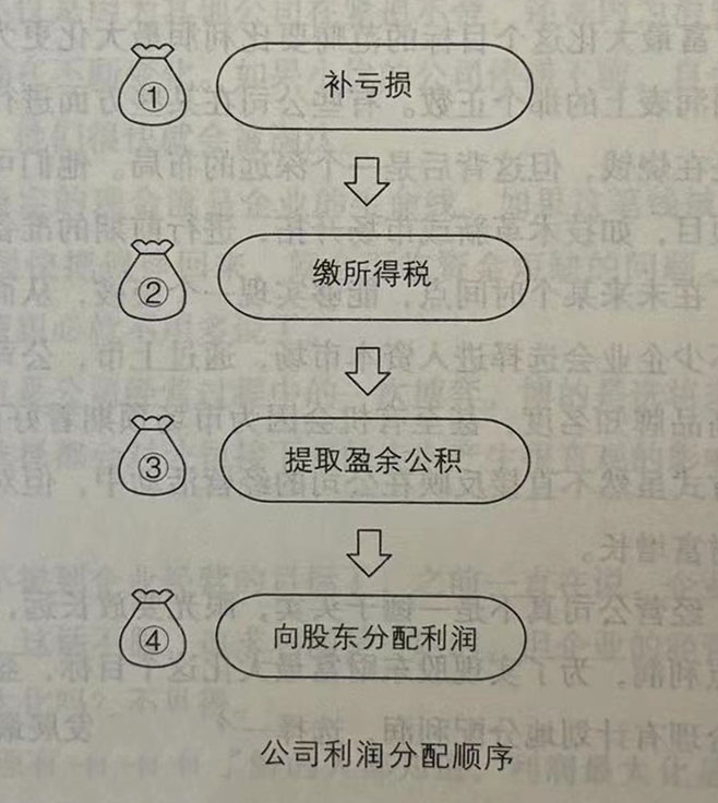 公司利润分配顺序